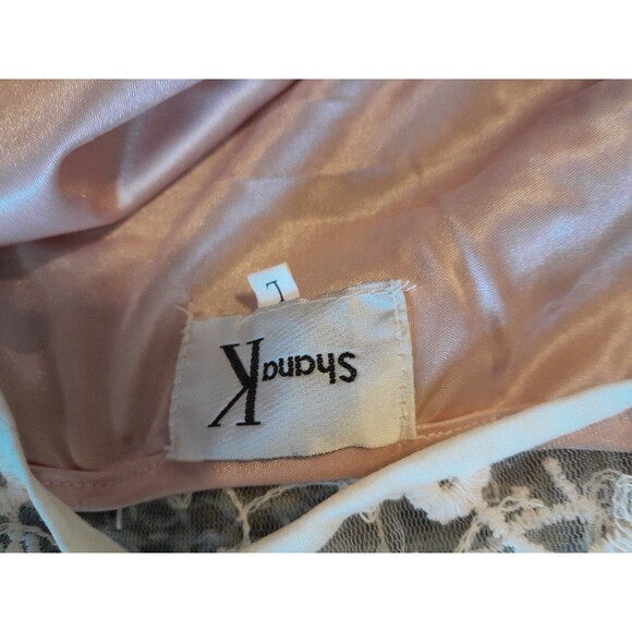 Vint. 70s Shana K Large Cottage Core Lined Pink /Mesh Embroidered Midi Dress.B28 - Picture 5 of 5